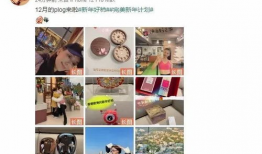 娱乐圈吃瓜入口小程序,揭秘明星幕后故事，畅享八卦盛宴